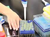 Image photo of biochemical testing practice