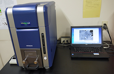 Desktop scanning electronic microscope