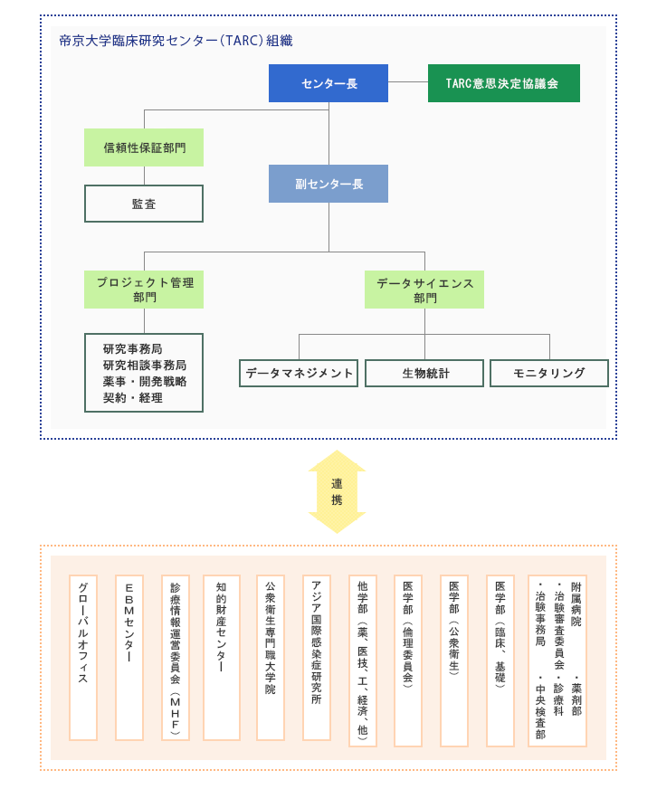 Teikyo Academic Research Center Organization Chart