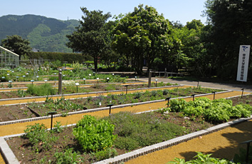 Teikyo University Medicinal Botanical Garden