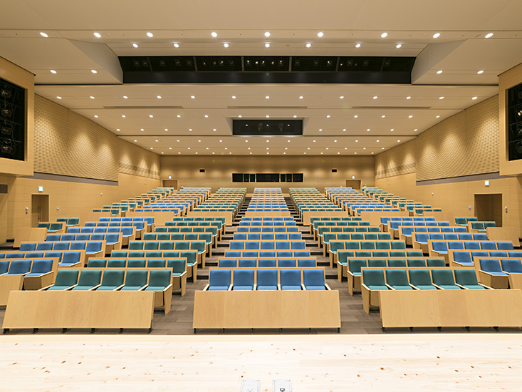 500-person auditorium (small hall)