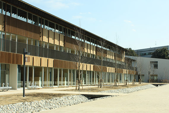 Teikyo University Elementary School