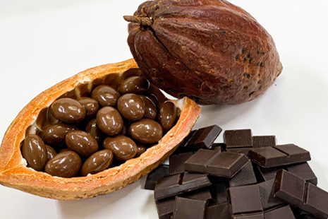 Cacao and chocolate